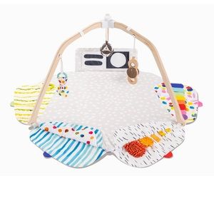 Lovevery Play Gym